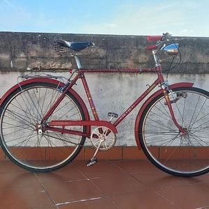 Guersan Pasteleira Confersil