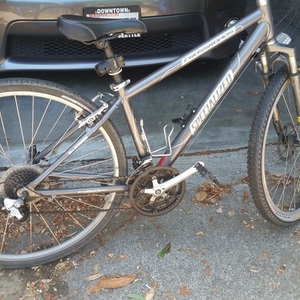 Specialized Silver or Gray