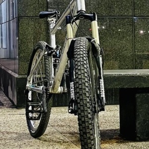 Devinci MoonRacer SL XX