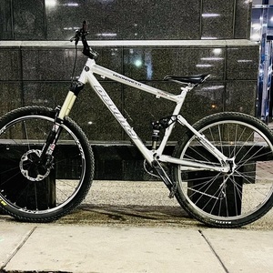 Devinci MoonRacer SL XX Silver, gray or bare metal