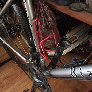 2016 Bianchi Volpe Disc Silver or Gray