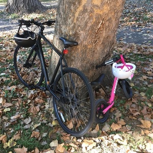 2016 Kona Dew Plus Black