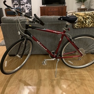 Giant Cypress Red and Black