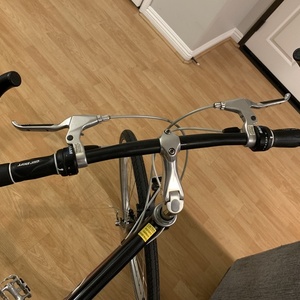 Giant Cypress Red and Black