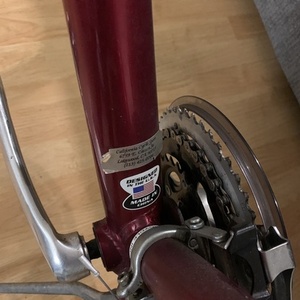 Giant Cypress Red and Black