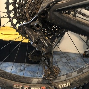 2016 Ibis Ripley Black