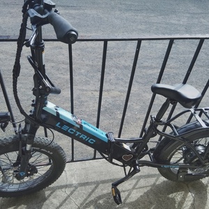 2025 Lectric eBikes Black