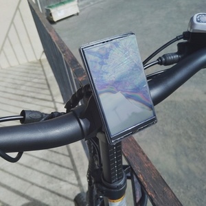 2025 Lectric eBikes Black