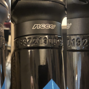 2019 Lectric Cycles Black