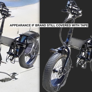 2019 Lectric Cycles Black