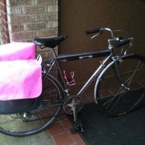 1985 Sterling Bicycle Co. Clubsman Silver or Gray