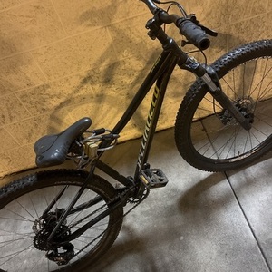 2020 Specialized Pitcg Black, Blue, and Green