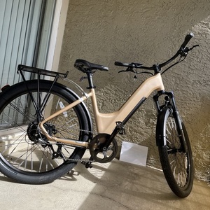 2025 Ride1Up LMT’D V2 Yellow or Gold