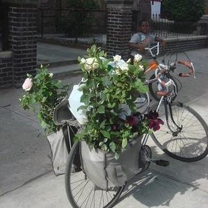 Bridgestone Silver or Gray