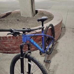 2024 Trek Marlin Blue