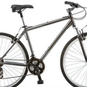 2016 Schwinn SNMMG Silver or Gray