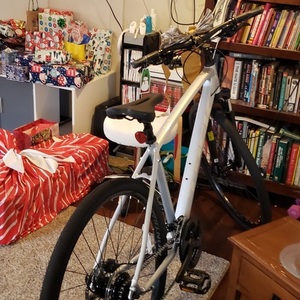 Trek Silver, gray or bare metal