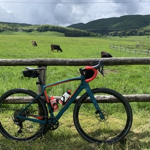 2021 Wilier Jena Blue