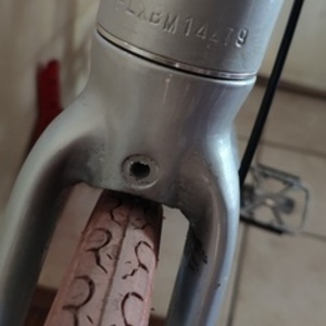 2021 FLX Babymaker Silver, gray or bare metal