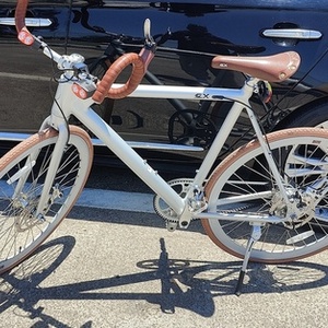 2021 FLX Babymaker Silver, gray or bare metal