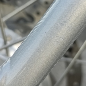 2021 FLX Babymaker Silver, gray or bare metal