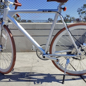 2021 FLX Babymaker Silver, gray or bare metal