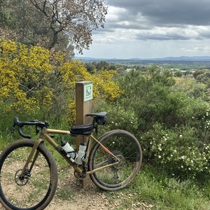 2025 Specialized Crux Yellow or Gold
