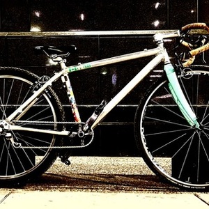 1994 Devinci Korrigan/hybrid, no paint Silver, gray or bare metal and Green