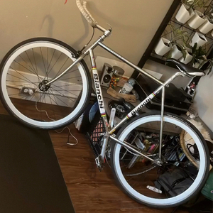 Bianchi Pista Silver, gray or bare metal and White