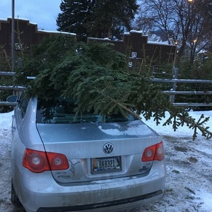 Electra Townie 21D Blue and White