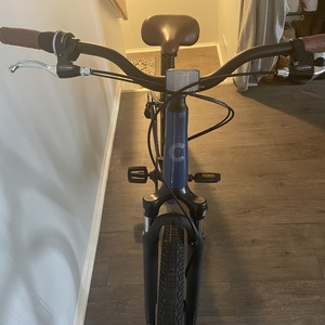 Cannondale Adventure 2 Blue and Brown