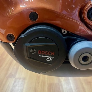 2024 Trek RAIL 9.8 LG AXS PENNYFLAKE Orange