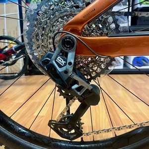 2024 Trek RAIL 9.8 LG AXS PENNYFLAKE Orange