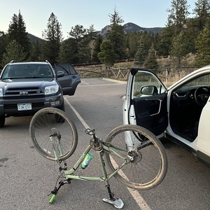 Specialized Rockhopper 29 Green