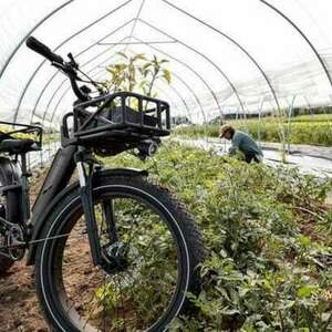 2022 Rad Power Bikes Rover 6 Plus Black and Silver, gray or bare metal