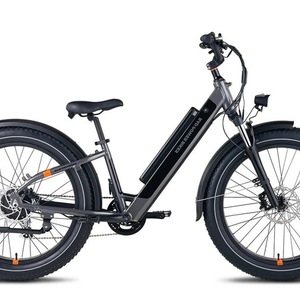 2022 Rad Power Bikes Rover 6 Plus Black and Silver, gray or bare metal