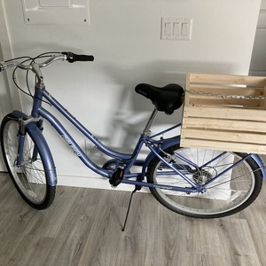 Raleigh Step-Through/Campus Comfort 26” Blue