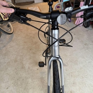 2021 Cannondale Quick 3 Silver, gray or bare metal