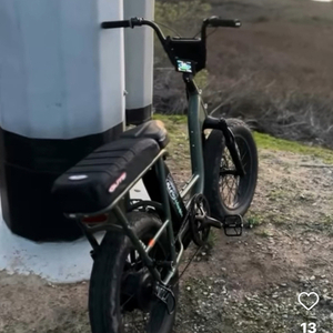 2022 Rad Power Bikes Radrunner 2 Green