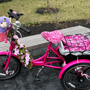 2025 Viribus Folding Adult Tricycle, 20 inch Foldi... Pink