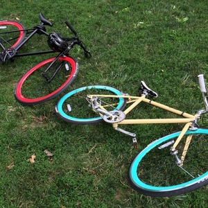 Pure Fix X-ray Yellow or Gold