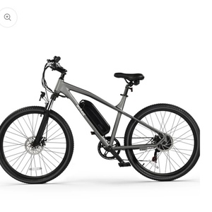 2025 Actbest Step over Silver, gray or bare metal