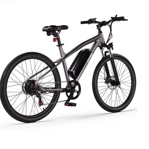 2025 Actbest Step over Silver, gray or bare metal