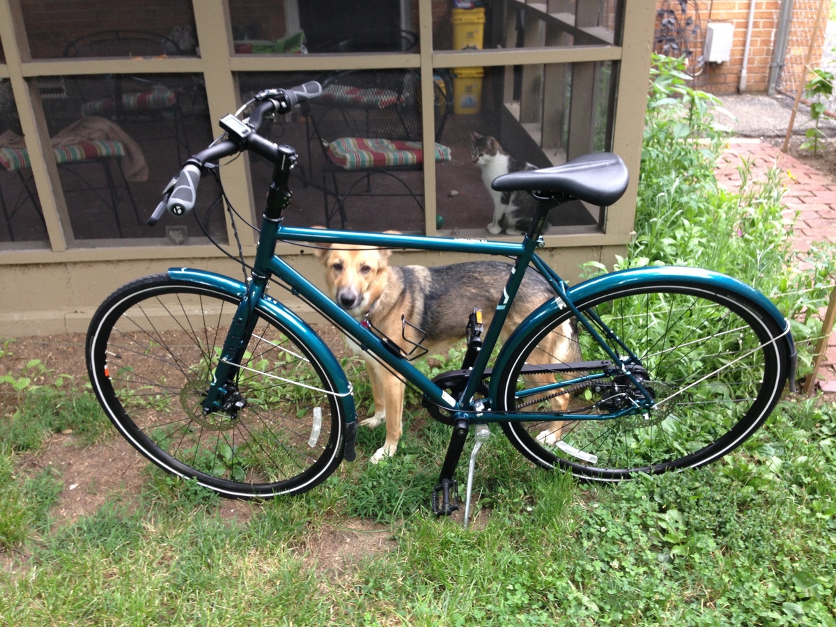 2016 Trek District IGH 3