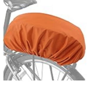 2020 Rad Power Bikes RadMini Step Throu White