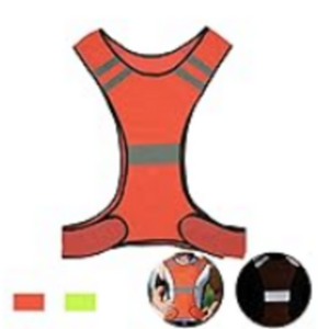 2020 Rad Power Bikes RadMini Step Throu White