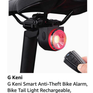 2020 Rad Power Bikes RadMini Step Throu White