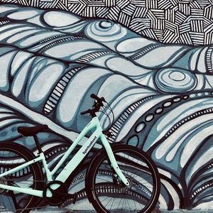 2019 Specialized Como 4.0 Green and Stickers tape or other cover-up