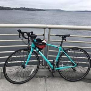 2016 Trek Lexa S Green