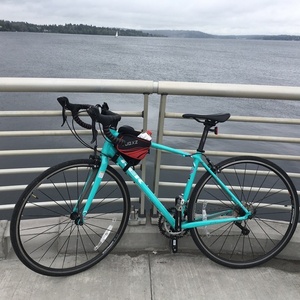 2016 Trek Lexa S Green